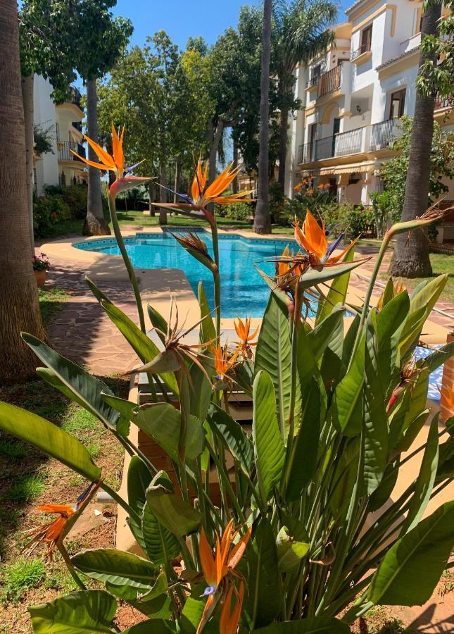 El Patio - La Lubica Dénia